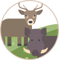natural wild boar and deer deterrent