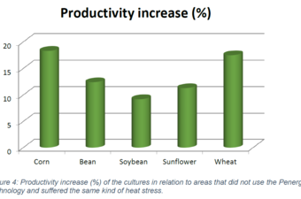 plant productivity increase in case of heat stress