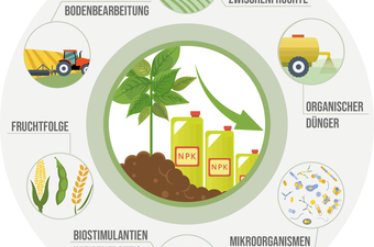 Anbaumethoden zur Reduktion von Düngemittel