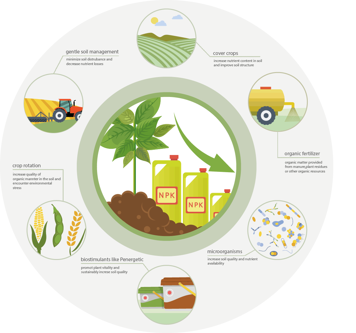 plant-nutrition-mineral-fertilizer-vs-available-nutrients-in-the-soil