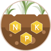 soil organisms Release nutrients contained in soil fraction