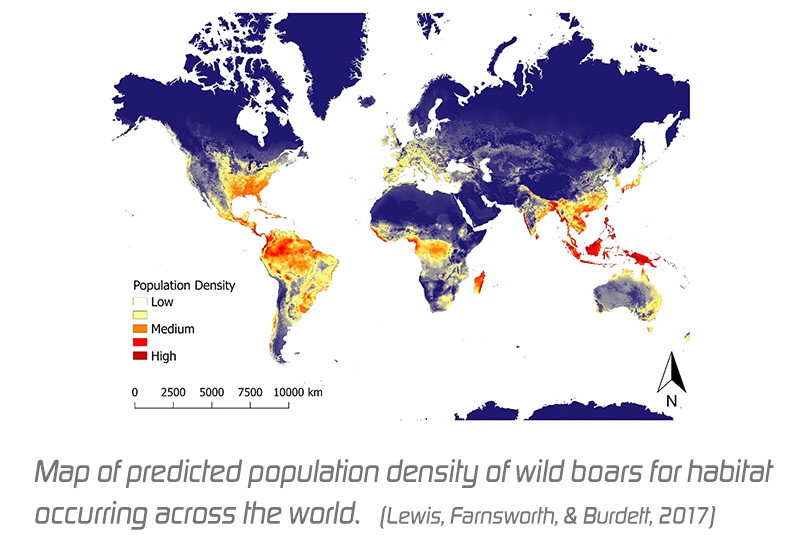 Wild Boar And The Damage They Cause In Agriculture Penergetic Int AG Map Of Predicted Population Density Of Wild Boars Across The World 2017 