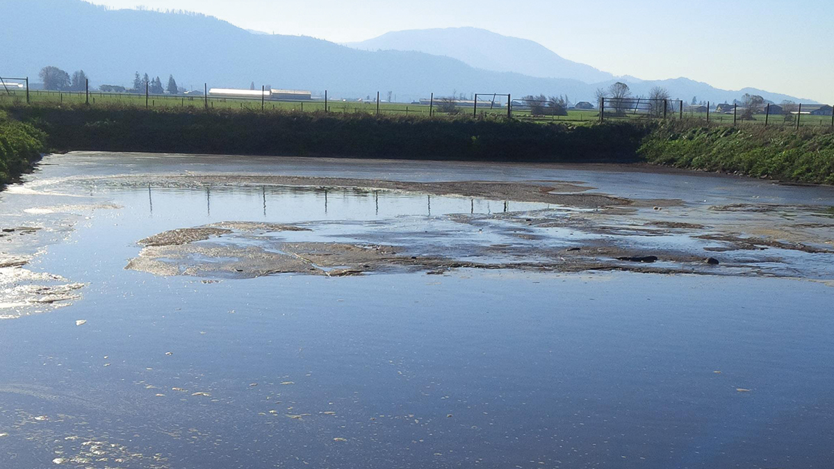 penergetic g used as lagoon treatment