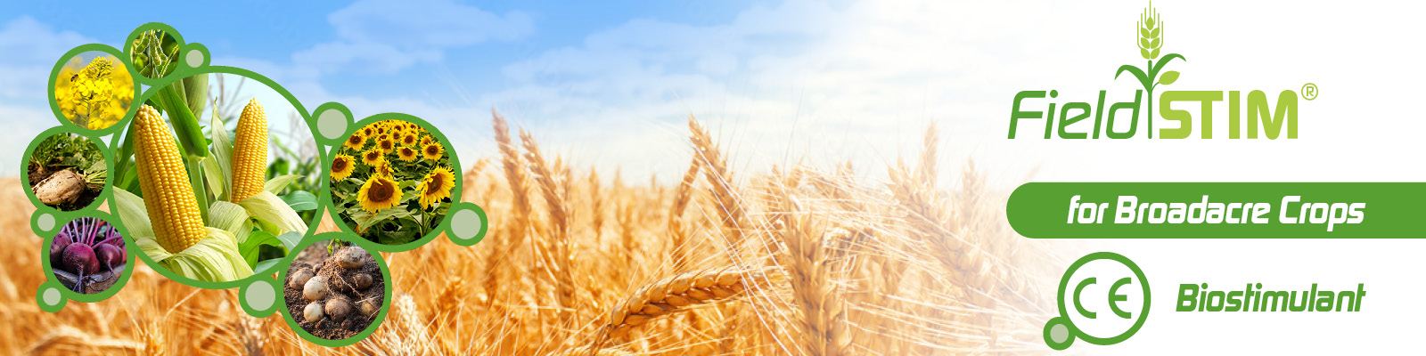 FieldSTIM CE-certified biostimulant for broadacre crops